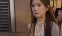 赵露思粉丝爆料视频,揭秘明星幕后生活片段