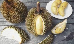 榴莲少爷爆料视频,揭秘视频背后的惊人真相