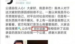 哈哥前妻爆料视频,揭秘婚姻背后的惊人真相