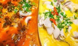 央视爆料酸菜鱼视频下载,揭秘网络食品安全隐患