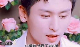 龙华厨师爆料视频大全集,独家爆料视频大全集深度解析