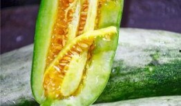高质量网红吃瓜视频下载,高清下载攻略，尽享娱乐盛宴