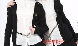 娱乐记者爆料朱叔视频播放,娱乐记者独家揭秘幕后故事