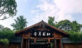 爱草堂视频在线观看,视频在线观看带你领略自然养生之道
