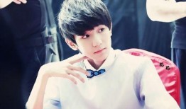 老王爆料王源视频,老王独家爆料背后的真相