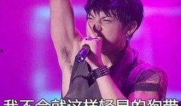 王喆被爆料的背景故事视频,揭秘娱乐圈的曲折人生
