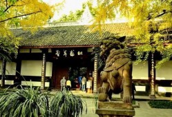爱草堂视频在线观看,视频在线观看带你领略自然养生之道