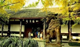 爱草堂视频在线观看,视频在线观看带你领略自然养生之道