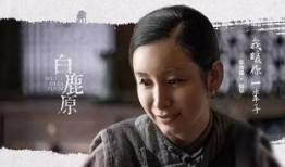 白鹿原电视剧在线观看,穿越历史的长河，探寻家族兴衰之谜