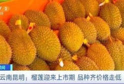 榴莲少爷爆料视频,揭秘视频背后的惊人真相