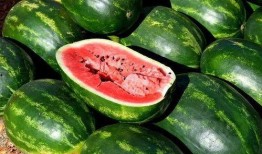 吃瓜包浆视频下载免费,免费下载吃瓜包浆视频，尽享视觉盛宴