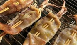 烧烤鱿鱼爆料视频播放,视频播放背后的惊人真相