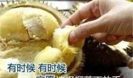 榴莲少爷爆料视频,揭秘视频背后的惊人真相