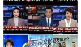 中国导演爆料新闻报道是真的吗