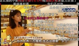 红美人爆料视频,幕后真相大曝光！