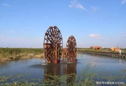 巨猫官方最新爆料网站,揭秘神秘新品，引领潮流新趋势