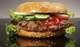 汉堡爆料视频大全下载,揭秘幕后真相，带你领略美食背后的故事