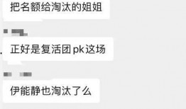 蓝盈莹被爆料退赛视频,视频揭露背后真相