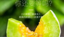 高质量网红吃瓜视频下载,高清下载攻略，尽享娱乐盛宴