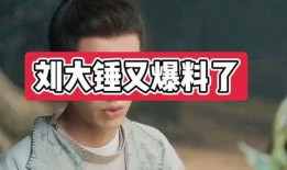 娱乐圈刘大锤爆料视频,揭秘明星背后的惊人真相