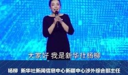 杨弋爆料讲真视频在线观看,揭秘幕后真相，带你走进真实世界