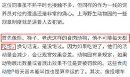华宇员工爆料视频播放网站,揭秘公司内部惊人内幕