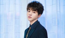 王俊凯最新八卦爆料,神秘女友身份引网友热议