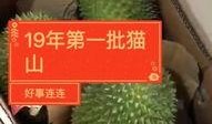 榴莲哥最新爆料,娱乐圈最新爆料大揭秘！