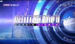 哈尔滨爆料新闻头条,惊曝重大事件，真相令人震惊！