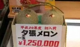 吃瓜娱乐铺,吃瓜娱乐铺带你探秘明星生活