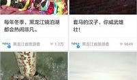 黑龙江直播在线播放观看,尽享云端视听盛宴