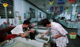 何炅马思纯爆料视频,独家爆料视频引热议