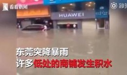 德阳爆料店事件视频,真相与争议的交织