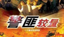 警匪在线观看,在线追捕，正义对决
