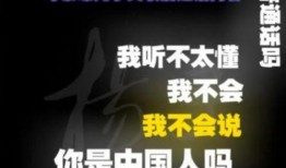 缅甸骗局爆料视频大全集,视频大全集深度解析