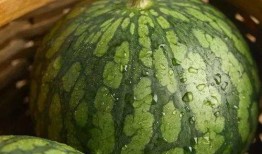 哈皮娱乐吃瓜,揭秘娱乐圈最新“吃瓜”事件