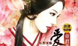 娱乐圈帝君爆料小说推荐,娱乐圈幕后风云，揭开明星们的真实生活