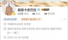 爆料四姐视频下载免费观看,免费下载观看视频背后的秘密