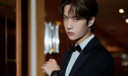 老王爆料王源视频,老王独家爆料背后的真相