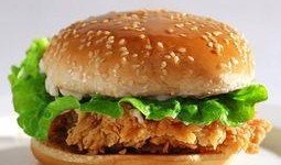 汉堡爆料视频大全下载,揭秘幕后真相，带你领略美食背后的故事