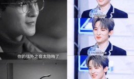 娱乐圈爆料直播西瓜条,西瓜条直播幕后故事大揭秘