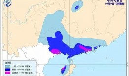 新疆热门爆料新闻最新消息,神秘事件引发热议，真相即将揭晓！