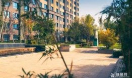 浠水银河湾小区最新爆料,揭秘神秘事件背后的真相