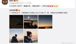 娱乐记者爆料朱叔视频播放,娱乐记者独家揭秘幕后故事