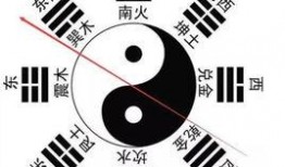 八卦爆料图咋做的视频,轻松掌握短视频制作奥秘