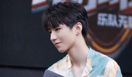 王俊凯最新八卦爆料,神秘女友身份引网友热议