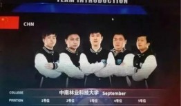 青蜂侠新闻爆料,独家爆料揭秘幕后故事与精彩片段！