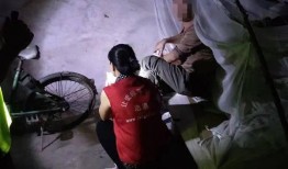 流浪者爆料最新消息,揭秘城市边缘的生存真相