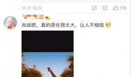 明星网红吃瓜公众号,明星网红吃瓜大揭秘，幕后故事一网打尽！