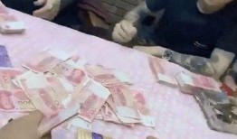 小胖网红爆料视频大全,揭秘幕后真相与趣味瞬间